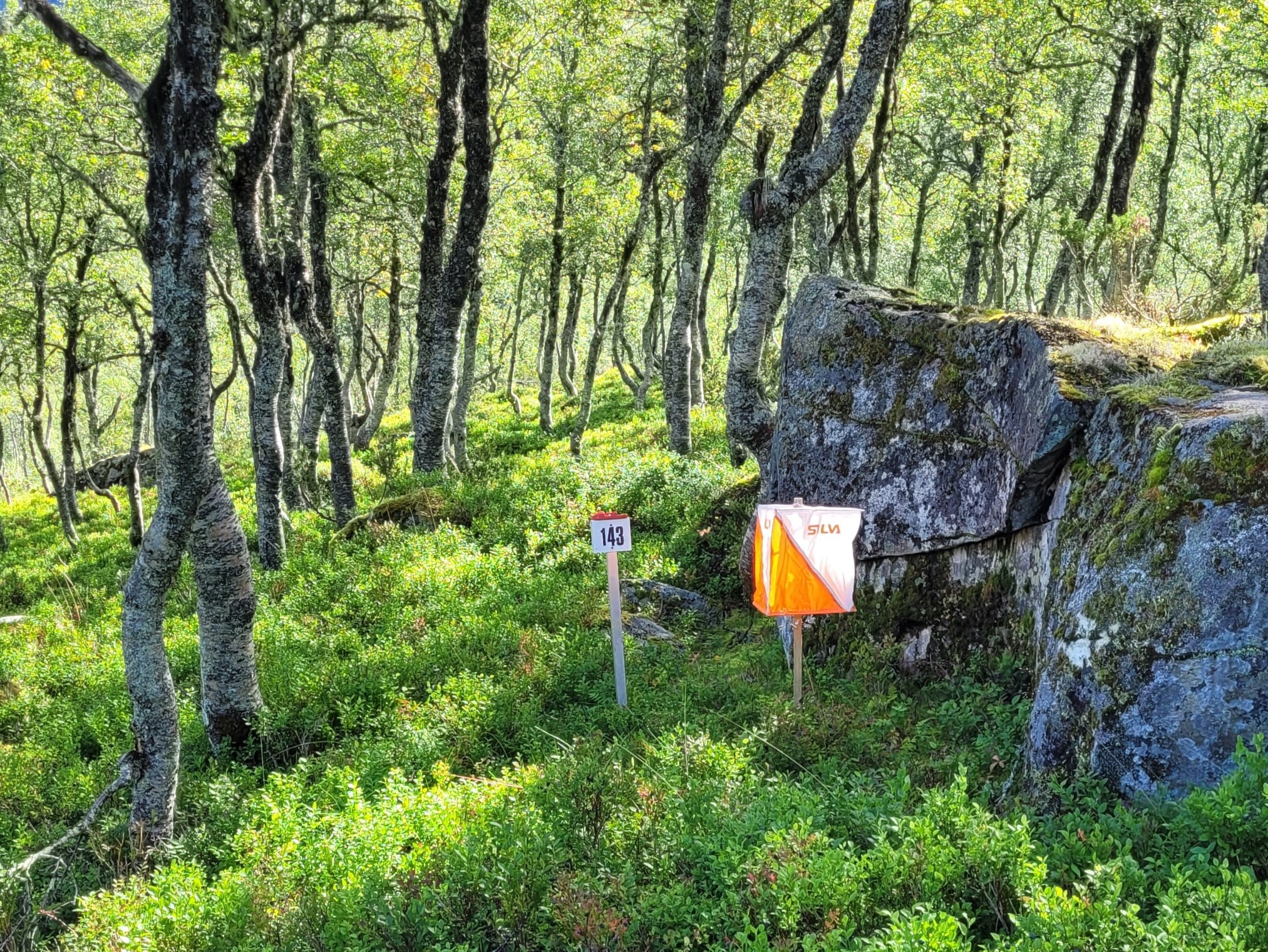 Utvikfjellet og Askøy